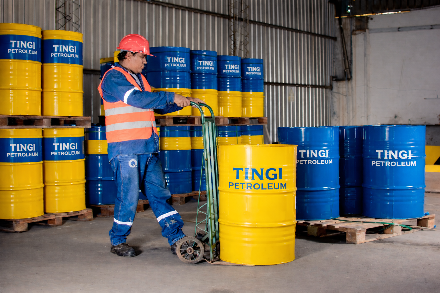 Tingi Petroleum: Engineering Corporate Authority — Image 07