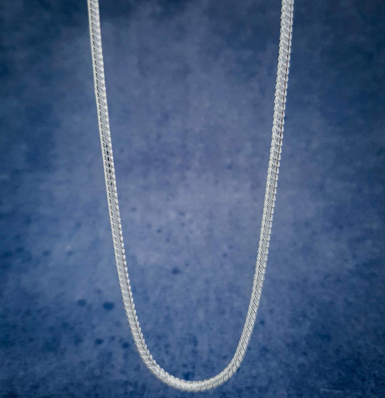 Snake Silver Chain