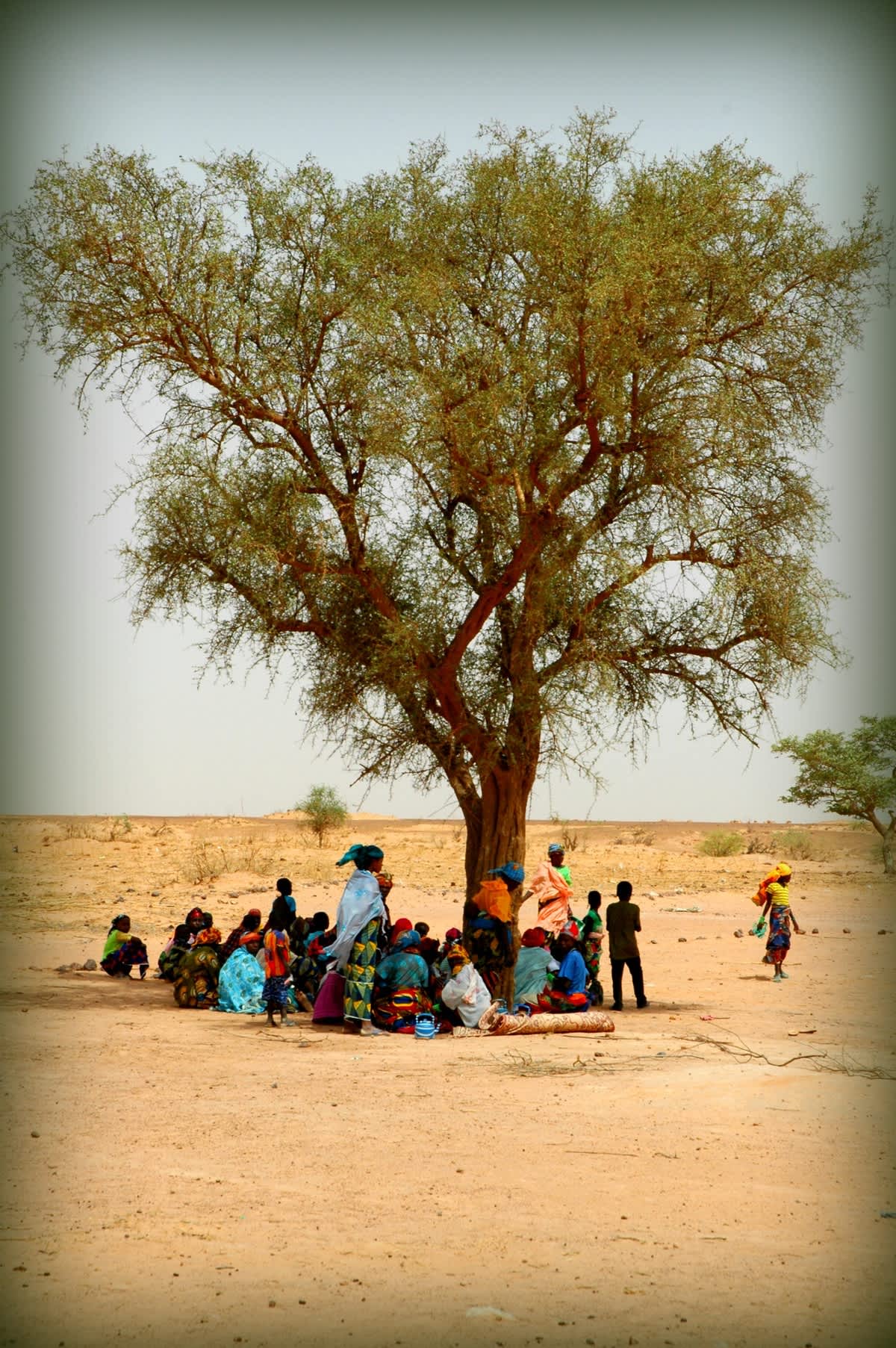 Can Games Help Us Beat Climate Change and Deforestation?