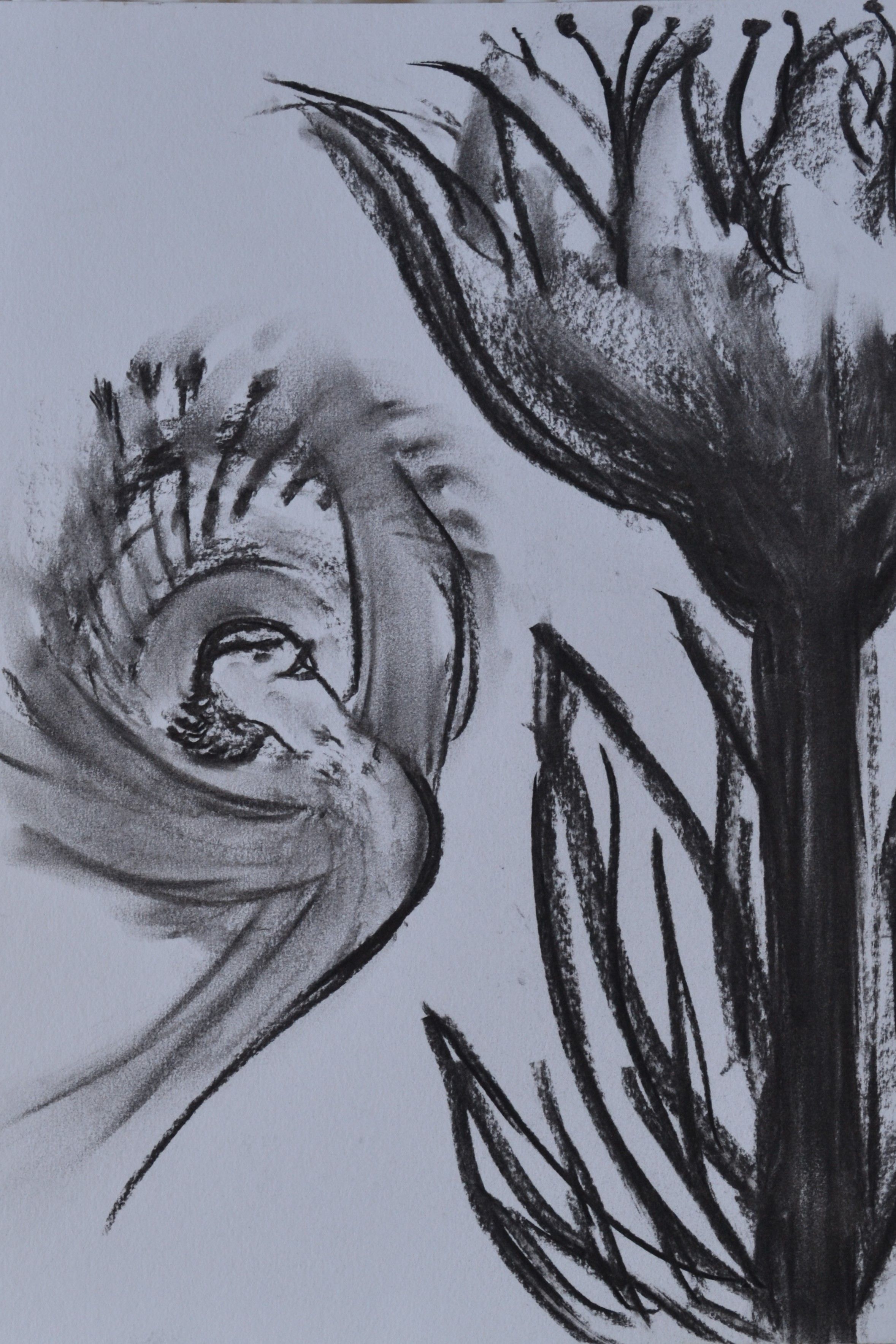 Cover Image for undefined