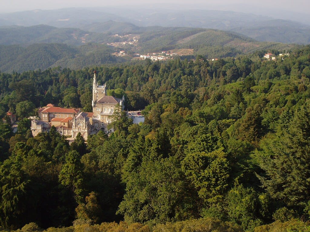 Vista aérea de Mata do Bussaco, Portugal, con densa vegetación verde y un palacio histórico visible.