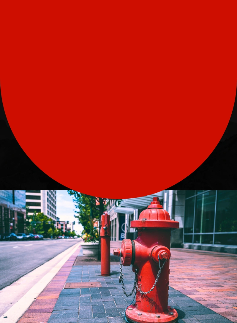   Addressable Fire Alarm System
