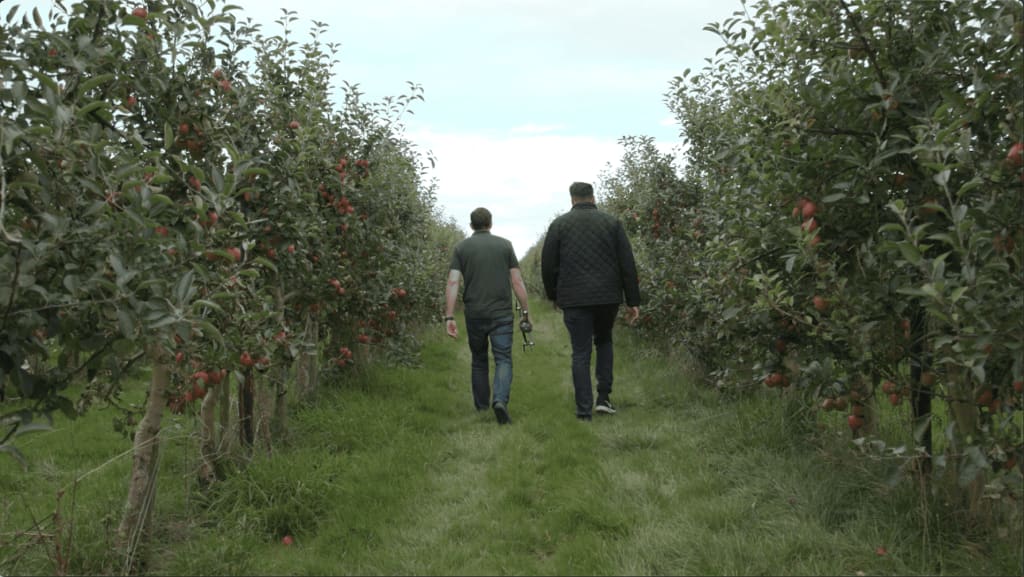 Two people walking through an orchard with rows of apple trees laden with fruit on either side. One person wears jeans and a green shirt, the other wears dark pants and a quilted jacket.