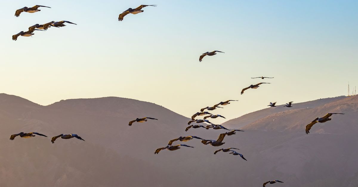 Choosing an Oracle to PostgreSQL Migration Tool