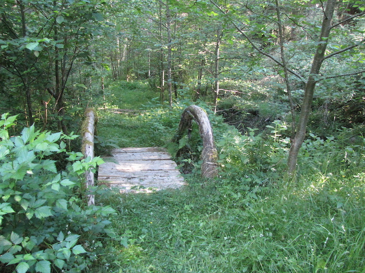 Bridge over Seasonal Ponds