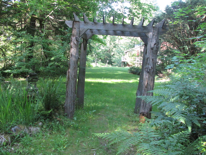 Coming back to the Sanctuary from the old logging road