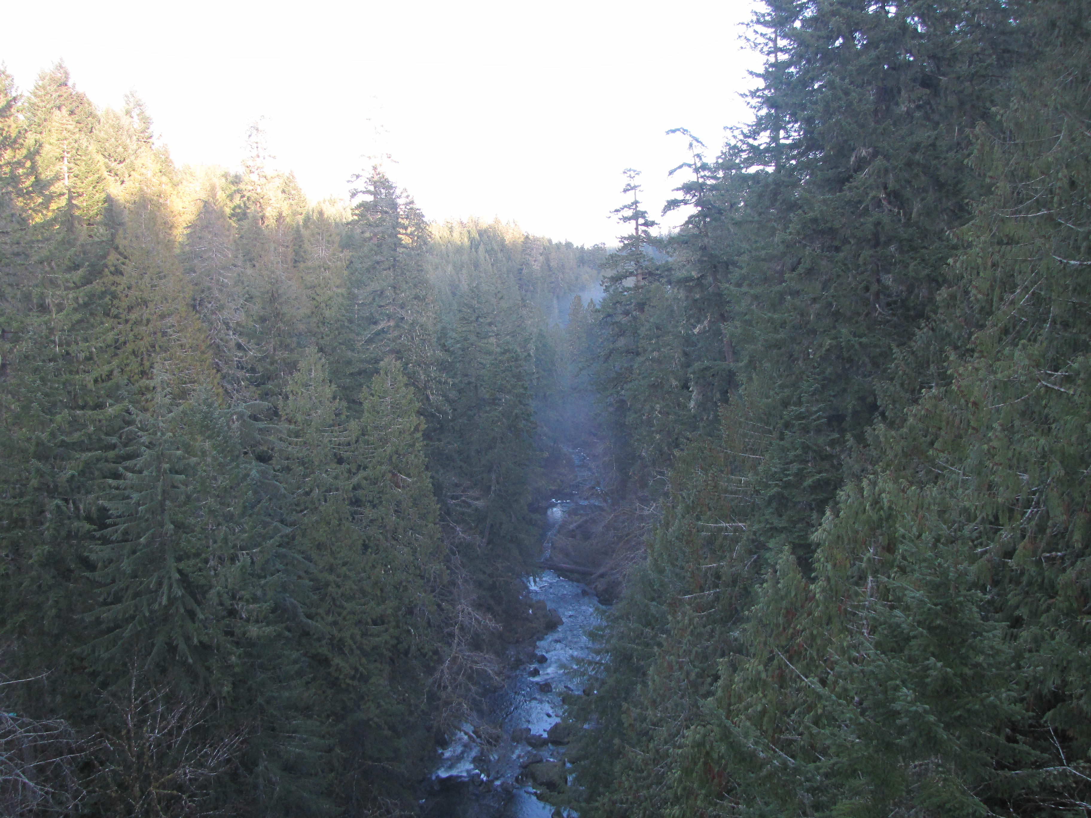 Koksilah River from Kinsol Tressle, looking East