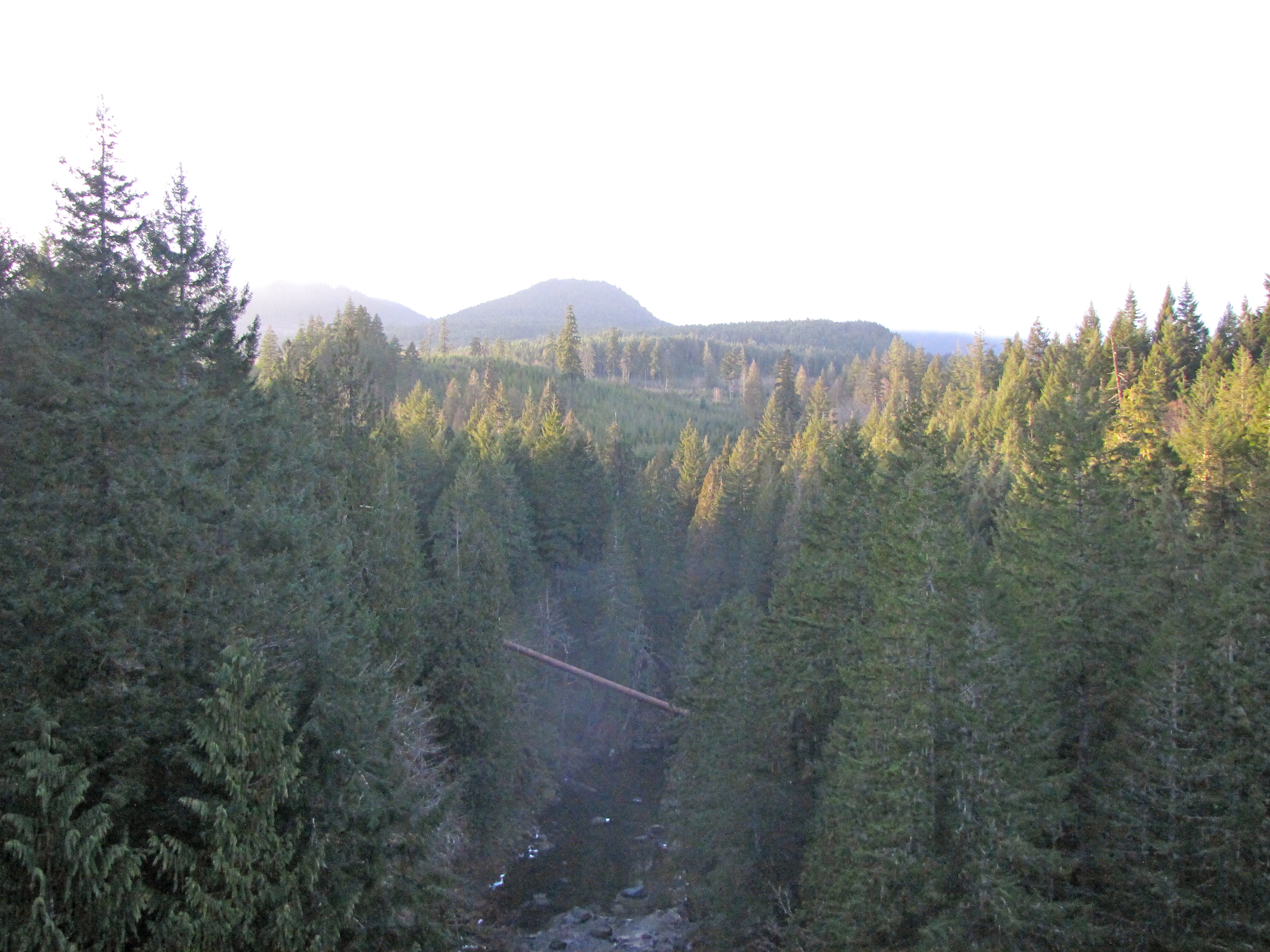 The Koksilah River, looking east with Eaglenest Sanctuary on the left.