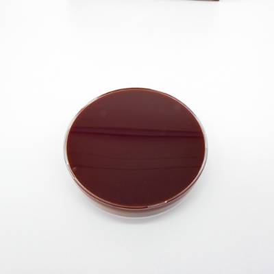 CHOCOLATE AGAR 90mm 1T