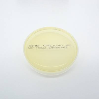 SABOURAUD AGAR + CHLORAPHENICOL 90mm 1T