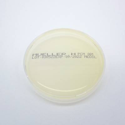 MUELLER HINTON AGAR 90mm 1T