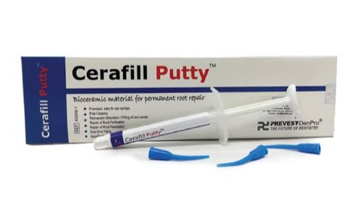 CERAFILL PUTTY 1X2gr (40049-1)
