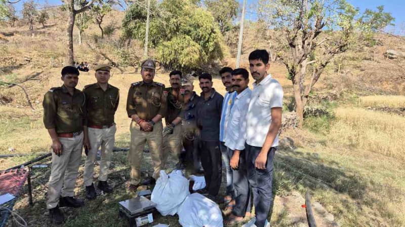 पीपलवास में गेहूं के खेत में अफीम खेती पकड़ी
