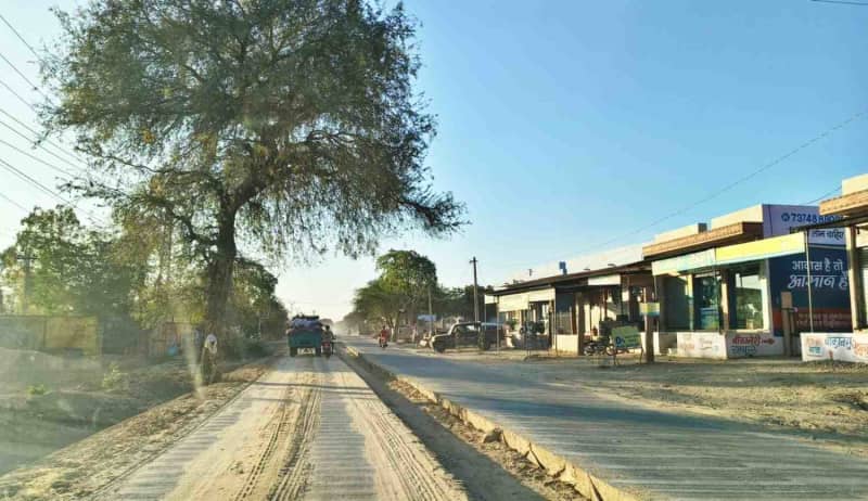 आनंदपुर कालू बस्सी सीसी रोड पर झुके पेड़ बने खतरा