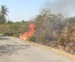 कानोड़ में सड़क पर आग, खेतों की फसल को खतरा