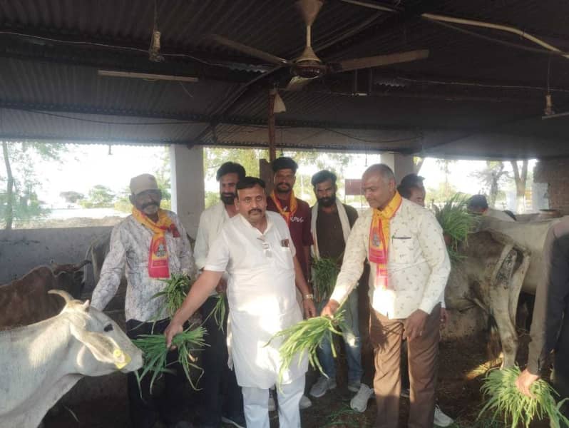 मांगरोल सीसवाली में विष्णु गौतम जन्मदिन सेवा दिवस मनाया