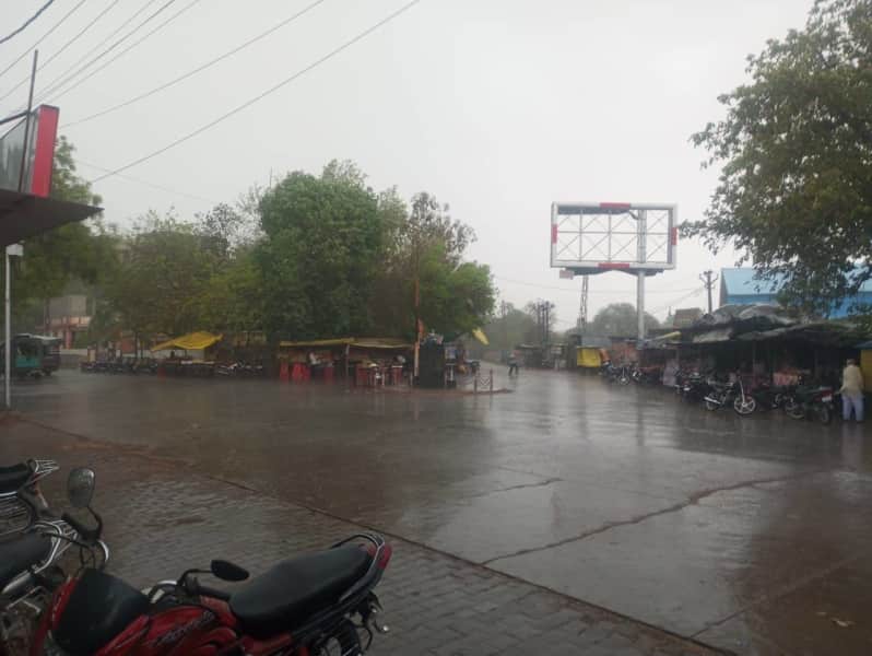 पश्चिमी विक्षोभ से मांगरोल क्षेत्र में बारिश, किसानों की बढ़ी चिंता