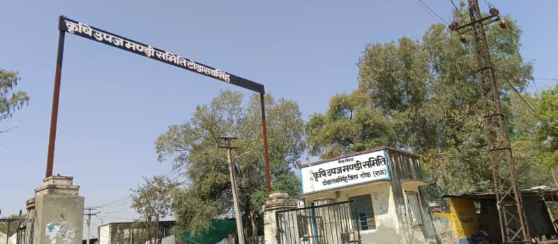 टोडारायसिंह मंडी में आज सरसों, गेहूं, चना के ताजा भाव