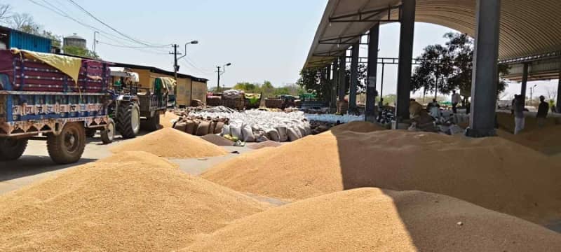 बकानी मंडी में अधिक आवक से व्यापारियों ने साप्ताहिक अवकाश घोषित