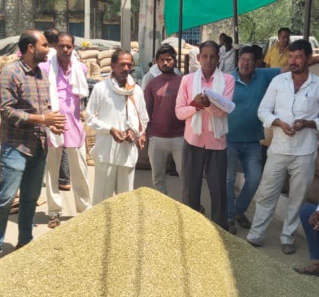 टोडारायसिंह मंडी में जिंसों के भावों में उतार चढ़ाव