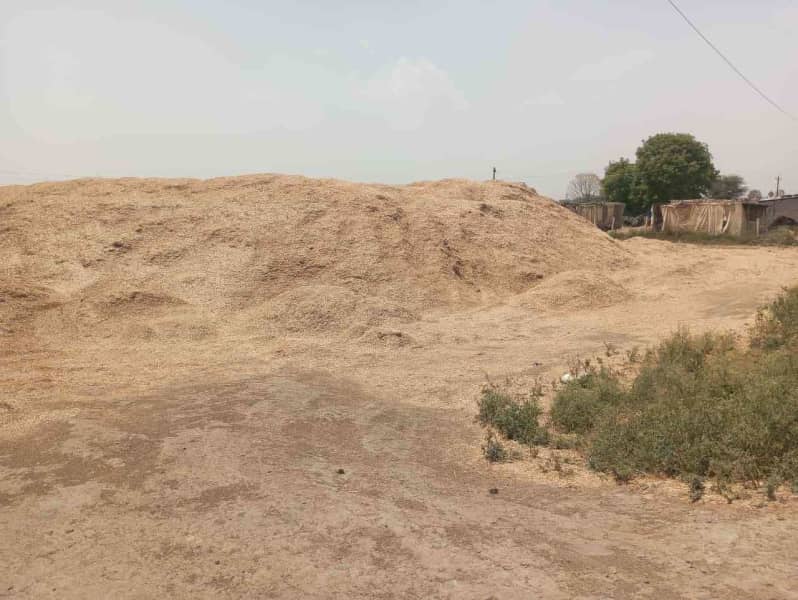 सरसों की तूड़ी से बिजली, किसानों को बढ़ी आमदनी