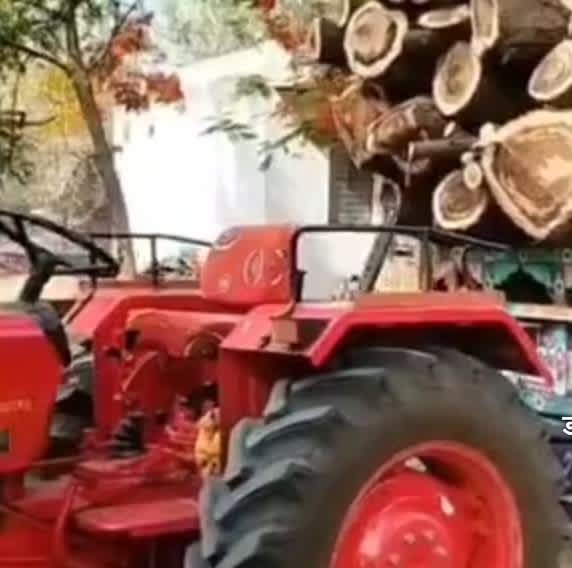 बकानी में अवैध लकड़ी परिवहन पर वन विभाग की कार्रवाई