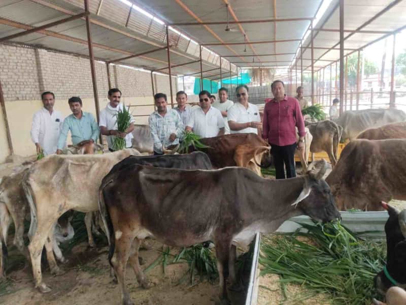 बूंदी भाजपा शहर अध्यक्ष श्रंगी जन्मदिन सेवा कार्यों संग मनाया