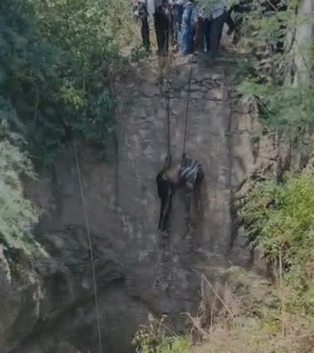 डूंगला में ट्रैक्टर कुएं में गिरा, चालक की दर्दनाक मौत
