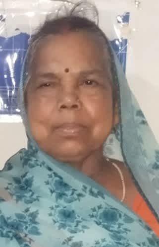 बोहत में अज्ञात पिकअप की टक्कर से महिला की दर्दनाक मौत