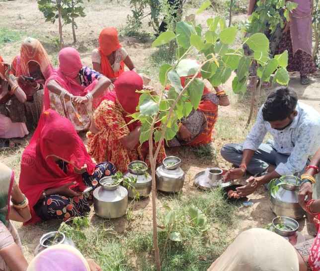 पांचोंटा में वंदे गंगा अभियान से जल संरक्षण जागरूकता बढ़ी