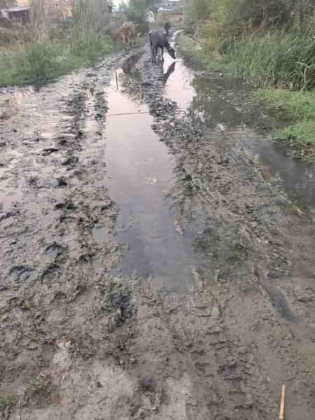 हरसोली गांव में आम रास्ता कीचड़ से ग्रामीण परेशान