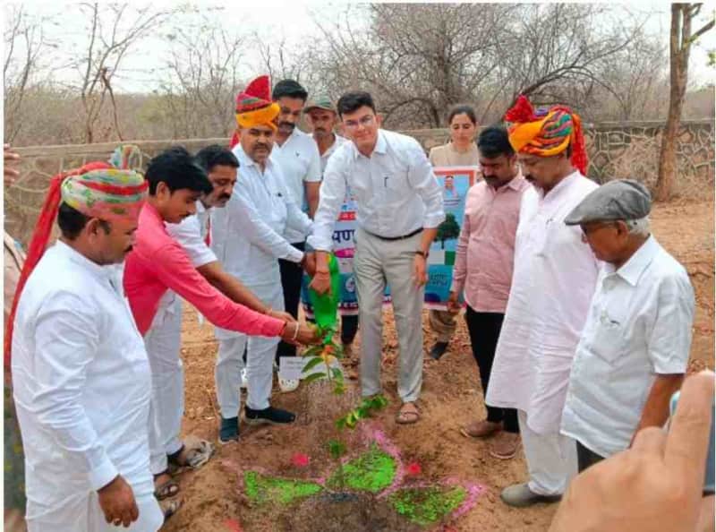 विश्व पर्यावरण दिवस पर भाजपाइयों ने किया वृक्षारोपण अभियान सफल
