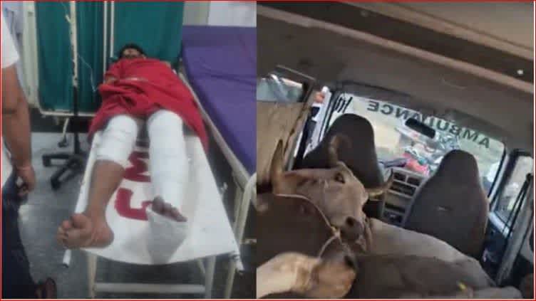 नूंह में गो-तस्करों और पुलिस की मुठभेड़, आरोपी के दोनों पैरों में लगी गोली