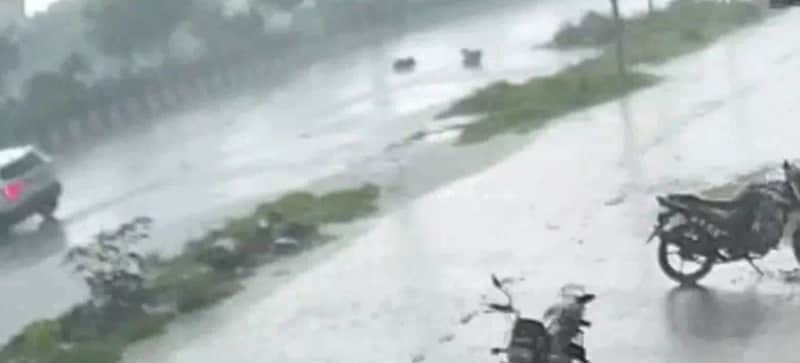 जयपुर हिट एंड रन हादसा: तेज रफ्तार SUV ने युवक की जान ली
