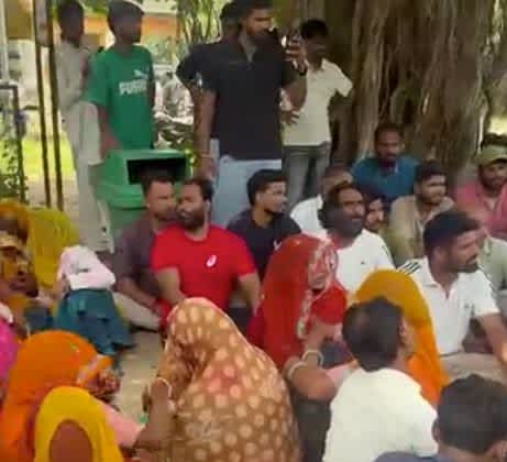 जयपुर चिड़ियाघर में टाइगर का हमला, घास काटने गई महिला की मौत