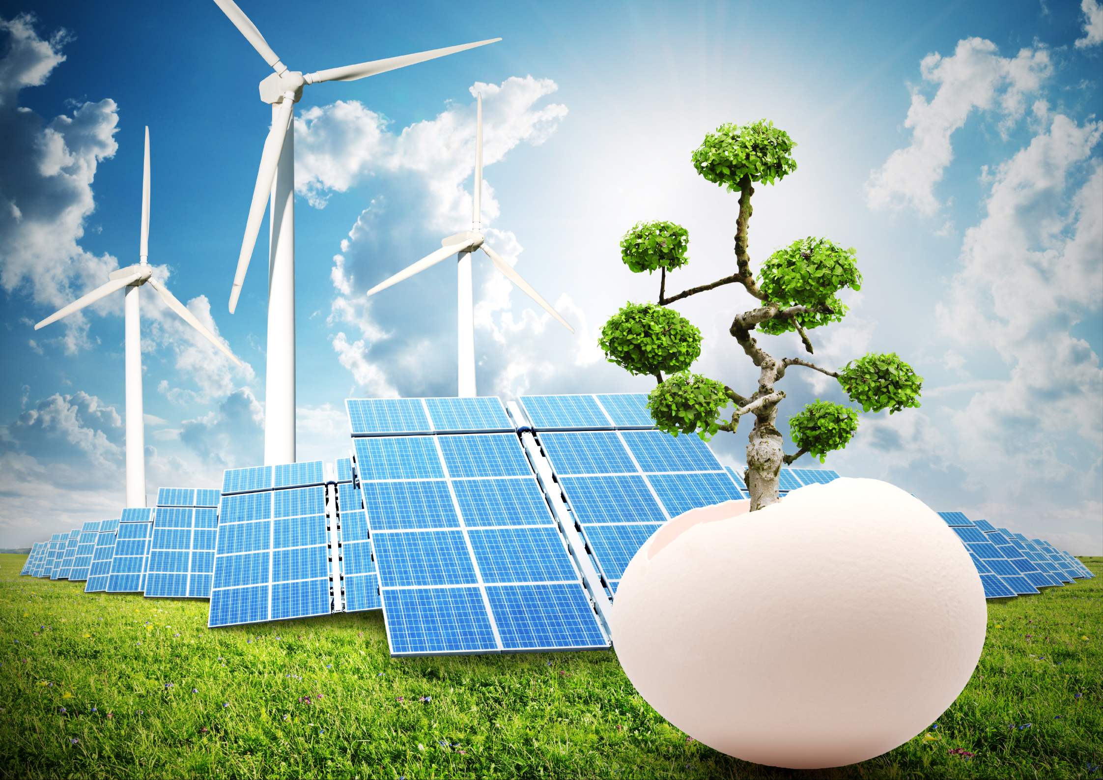 How Businesses Can Lead the Sustainability Transition: A Practical Guide for 2025 and Beyond