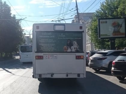 В центре Саратова молодой велосипедист въехал в 