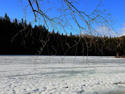 В Саратовской области днем потеплеет до +5 градусов