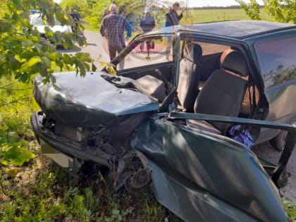 На сельской дороге не разъехались отечественные легковушки. Двое в больнице