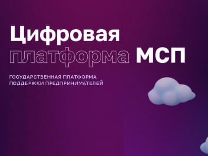 О работе Цифровой платформы МСП. РФ