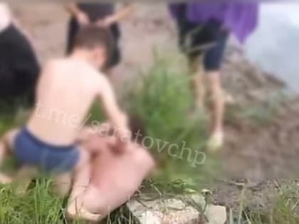 Мальчика избили и раздели на саратовском пляже. Возбуждено дело о групповом истязании