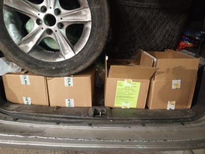 В Саратовскую область из Казахстана не пустили опасные семена кукурузы