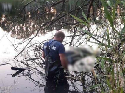 В балаковском пруду нашли тело утопленницы