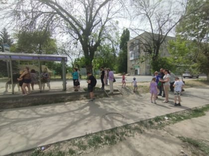 Саратовцы о работе автобуса № 90: 