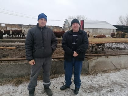 На контроле зимовка скота