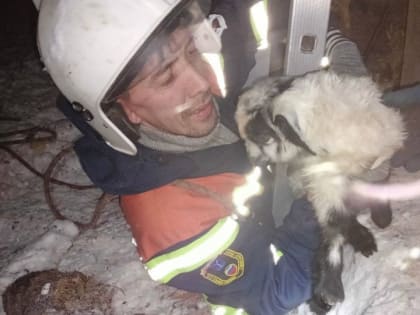 Доставать козленка из трехметрового колодца пришлось спасателям