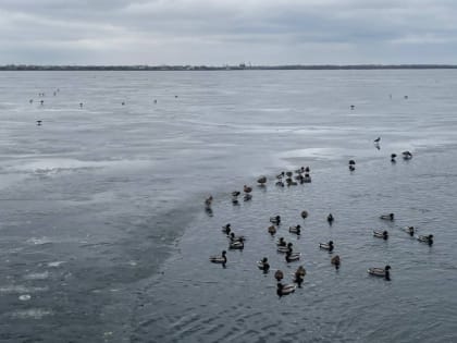Запрет выхода на лед в Саратовской области продлили еще на две недели