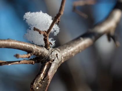 В Саратовской области прогнозируют слабый дождь и до +7 градусов