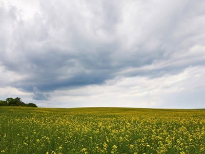 В Саратовской области прогнозируют грозу, град и усиление ветра до 20 м/с