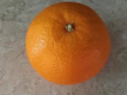 Роспотребнадзор развеял мифы о цитрусовых и витамине С